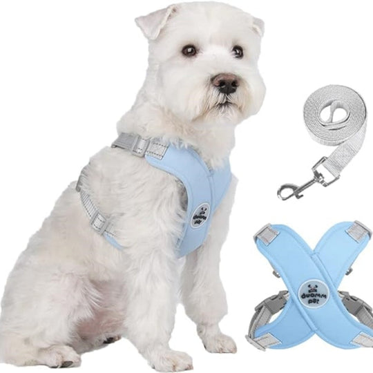 🥳2026 HOT SALE🥳 30% OFF💞X-frame No-Pull Dog Harness Set with Leash