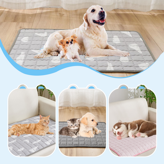 🧊 50% OFF TODAY! 🐶 Dog Cooling Mat (4X Cooling Effect) ✨ Instant Heat Relief & All-Day Summer Comfort for Pets ☀️🐾