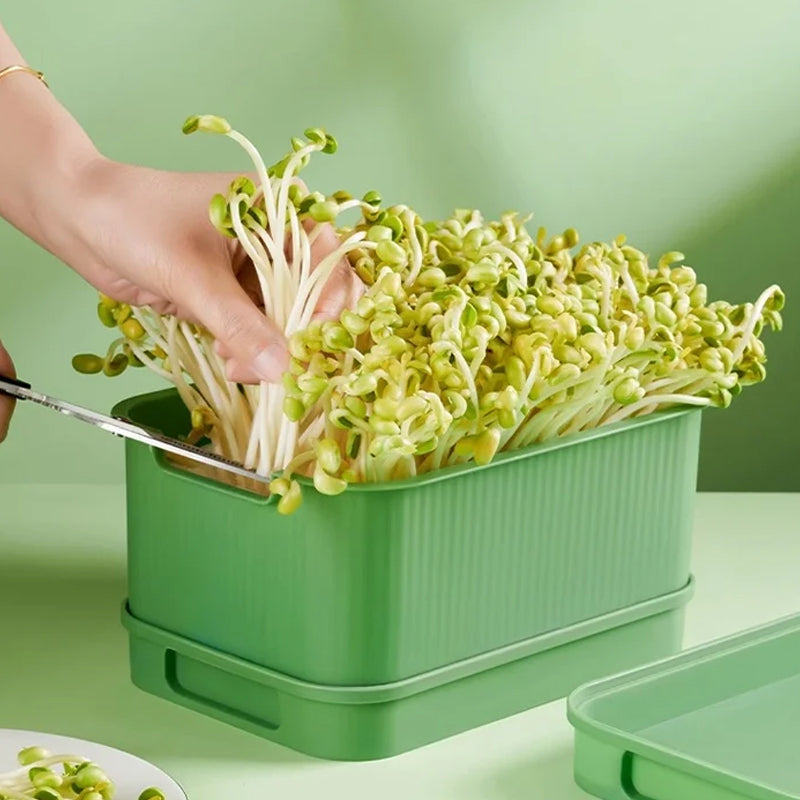 🌱 Stackable Bean Sprout Grower Box with Lid — Soilless Seed Sprouter Tray for Healthy Homegrown Sprouts