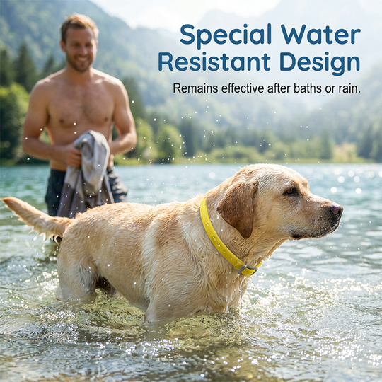 🎉 FLASH DEAL 30% OFF🐶🐱 – Plant-Based Flea & Tick Collar 🌿 Up to 8 Months Protection, Slow-Release Oils, Water-Resistant 💦 Repels Mosquitoes & Larvae, Comfortable & Safe for Daily Wear 🐕