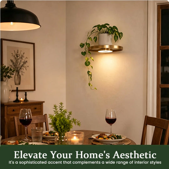 🎉 2026 Sale — Over 27,000 Sold!  Floating Wall Shelf with Built-in Ambient LED Light – Modern Plant Display 💛