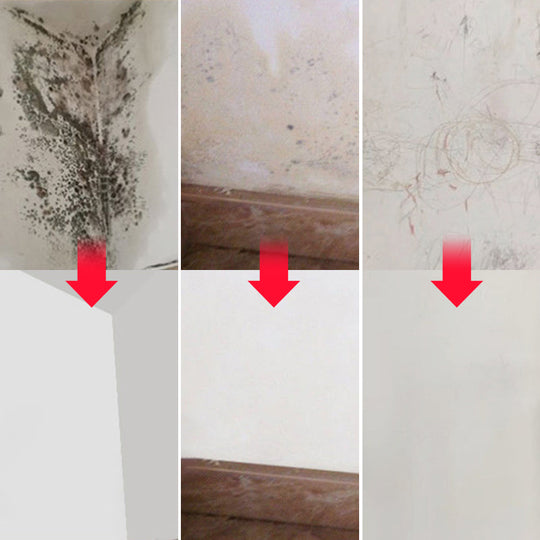 Whitewall Renovation & Repair Latex Spray Paint